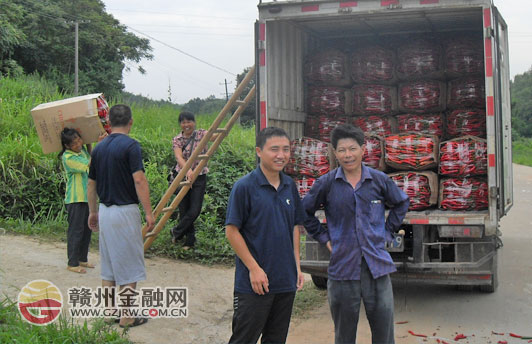 信豐小河鎮(zhèn)椒農(nóng)大豐收 “小額農(nóng)貸”助力立新功