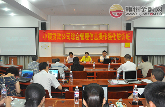 我市推動小額貸款公司綜合管理系統(tǒng)上線工作