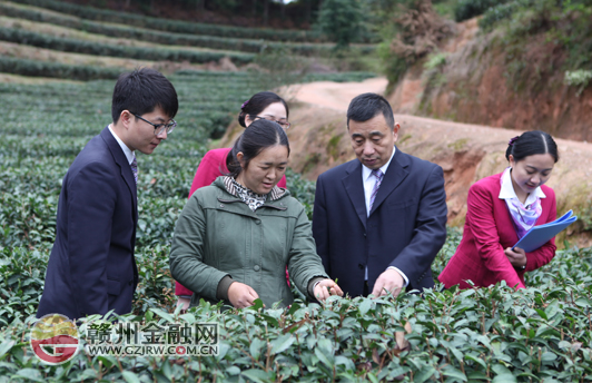 上猶農(nóng)商行（籌）：播撒金融春雨 助力春耕生產(chǎn)