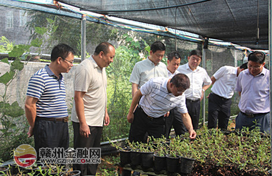 省農(nóng)信社主任葉磊深入會昌調(diào)研扶貧工作