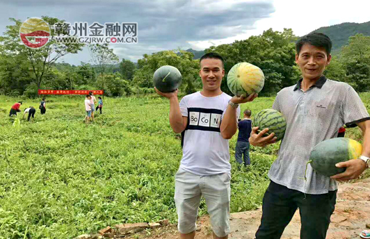 贛州國壽開展產(chǎn)業(yè)扶貧活動 助解瓜農(nóng)滯銷難題