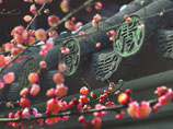 楊中憲作品 梅