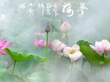 市人行影協(xié)作品 蓮鄉(xiāng)印象