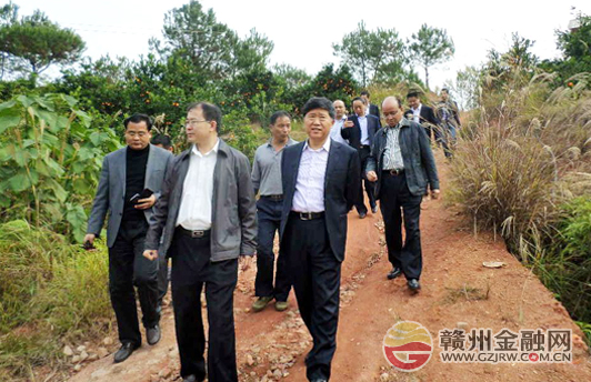 省人保財(cái)險(xiǎn)總經(jīng)理彭怡元蒞臨贛州調(diào)研指導(dǎo)工作