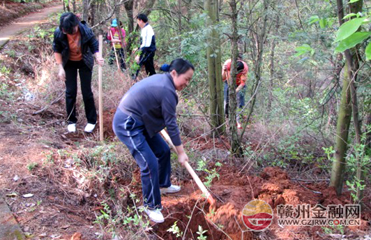 中國人壽贛州分公司積極開展植樹活動