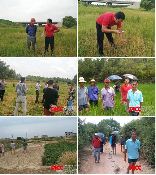 人保財(cái)險(xiǎn)永修支公司快速理賠助力農(nóng)戶恢復(fù)生產(chǎn)1.jpg