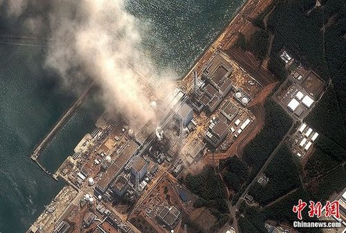 海嘯重創(chuàng)日海產(chǎn)業(yè) 全球最大東京魚(yú)市顧客跌70%