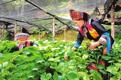 專家稱中國(guó)上調(diào)扶貧標(biāo)準(zhǔn)可致貧困人口重返1億