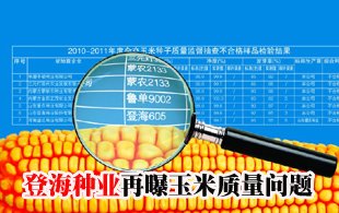 登海種業(yè)再曝玉米質(zhì)量問(wèn)題 被指研發(fā)思路走偏