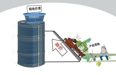 黨報調(diào)查菜賤傷農(nóng)真相：不僅是流通惹的禍