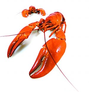 菜價米價悄然上漲
