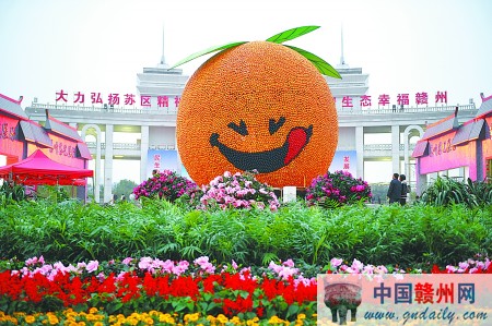 “贛南臍橙王”獲世界之最
