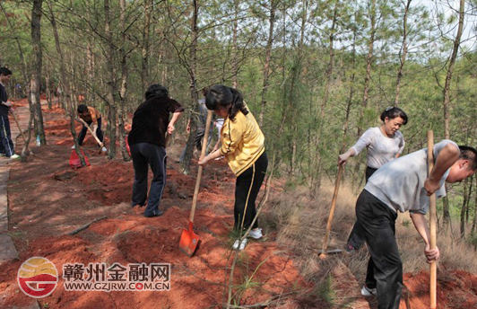 農(nóng)發(fā)行贛州市分行組織開展植樹活動