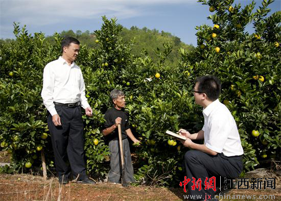 贛南蘇區(qū)金融扶貧的“農(nóng)行樣本”