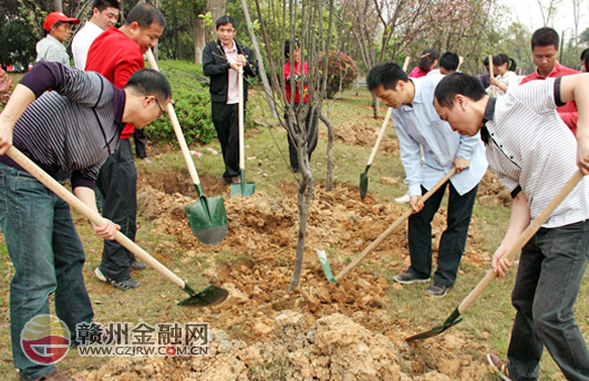 踐行綠色可持續(xù)發(fā)展觀 贛州銀座開展義務(wù)植樹活動(dòng)