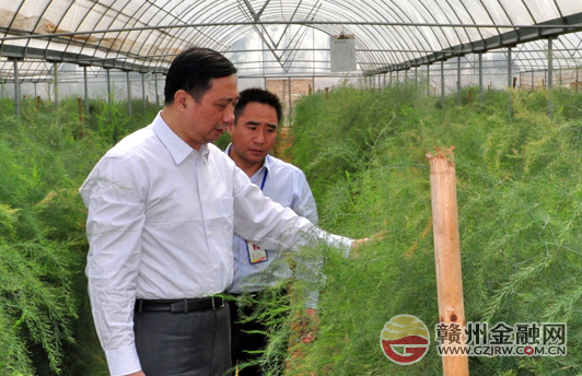 市政協(xié)副主席肖明華赴在興國“三送”掛點村調(diào)研