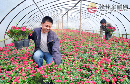 信豐農(nóng)信社信貸資金支持返鄉(xiāng)農(nóng)民工創(chuàng)業(yè)