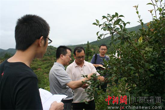 贛南蘇區(qū)金融扶貧的“農行樣本”