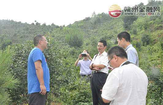 贛州農(nóng)行記者行：情系三農(nóng)傳真情
