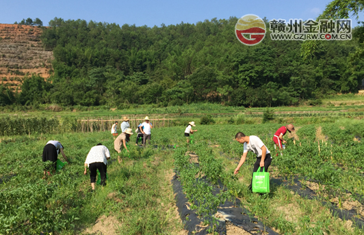 走進生態(tài)基地 體驗農(nóng)家生活