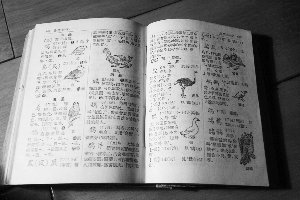 新版《新華字典》登場(chǎng) 舊版字典收藏大熱