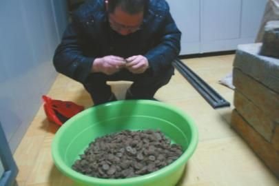 一鏟下去 挖出近5000枚清朝錢(qián)幣