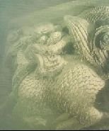 千島湖水下探秘：獅城姚王氏牌坊精美完整